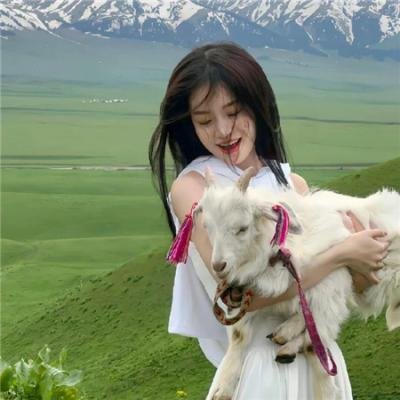 美国叛徒:轴心莎莉的审判